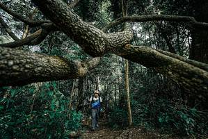 BIB: 
                            <button type="button" onclick="openModal(25706156)" class="btn btn-primary btn-sm float-right btn-popup" data-toggle="modal" data-target=".modal-high-quality">
                        <i class="fas fa-shopping-cart"></i> Add to Cart
                    </button>
                                            <button type="button" onclick="isThisMe(25706156, true)" class="btn btn-success btn-sm float-right btn-popup btn-isme hidden" data-toggle="tooltip" data-placement="bottom" title="นี่คือรูปของคุณใช่ไหม คลิกที่นี่เพื่อเอาเข้าอัลบั้ม">
                        <i class="fas fa-plus"></i> Add to album
                    </button>
                    <button type="button" onclick="isThisMe(25706156, false)" class="btn btn-warning btn-sm float-right btn-popup btn-isnotme hidden">
                        <i class="fas fa-ban"></i> Remove from album
                    </button>